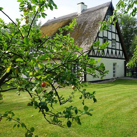 Haus Bela Leilighet Nonnevitz Eksteriør bilde
