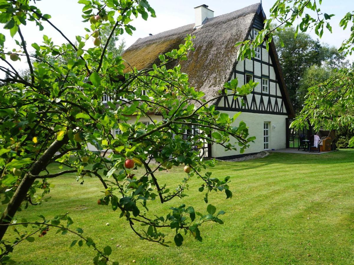 Haus Bela Leilighet Nonnevitz Eksteriør bilde